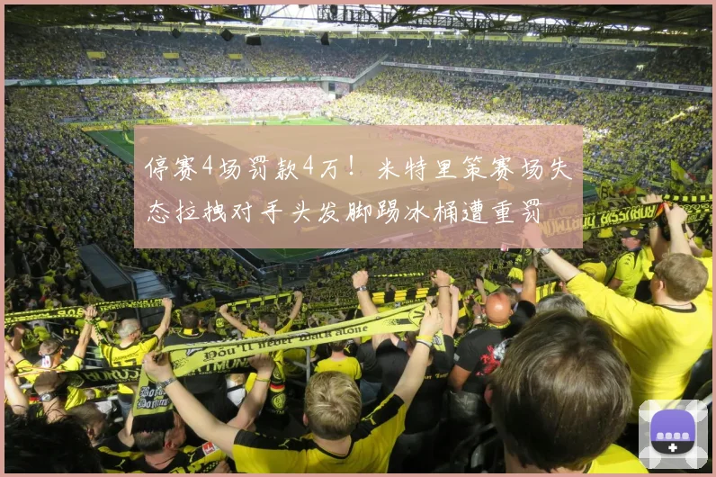 停赛4场罚款4万！米特里策赛场失态拉拽对手头发脚踢冰桶遭重罚