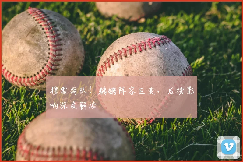 穆雷离队！鹈鹕阵容巨变，后续影响深度解读