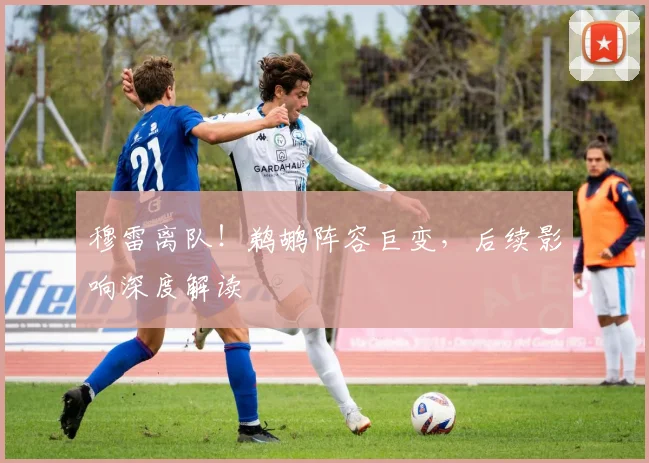 穆雷离队！鹈鹕阵容巨变，后续影响深度解读